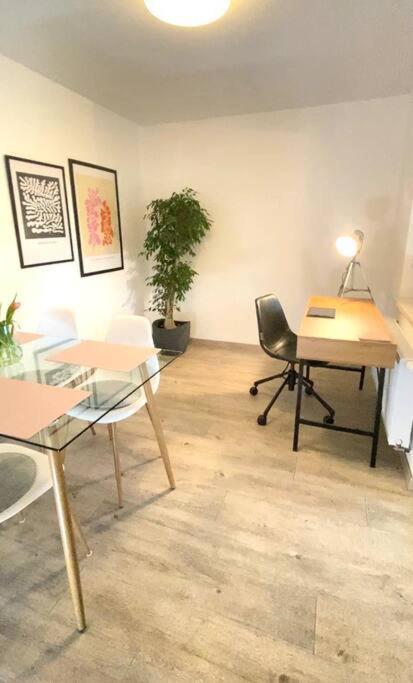 Apartment St-apartment Charming 1 Mit Terrasse Und Garten, 3 In Geislingen *